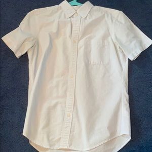 men’s collard shirt